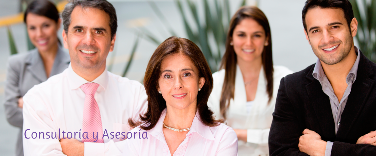 Consultoria y Asesoria en Bogota para empresas